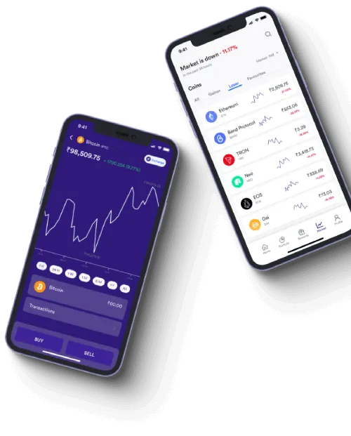 ProlinixTrader - What exactly is ProlinixTrader?